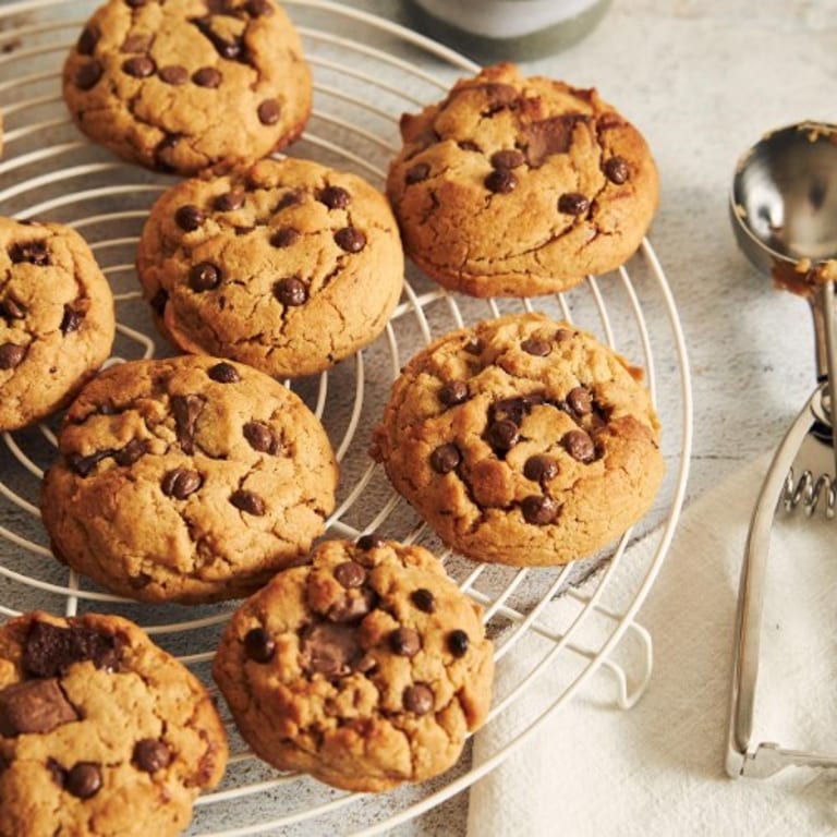 Chocolate Chip Cookie Delight
